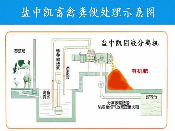 不锈钢鸡粪处理机示意图 不锈钢鸡粪处理机示意图
